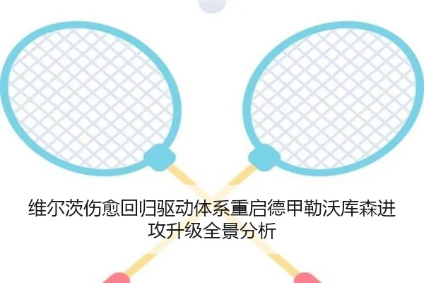 维尔茨伤愈回归驱动体系重启德甲勒沃库森进攻升级全景分析
